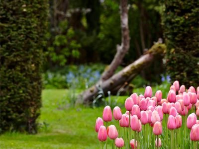 Country House Garden